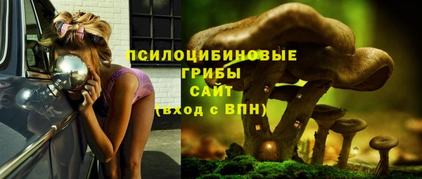 крисы Волоколамск